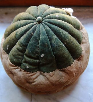 Doğruyu yanlışı öğrenme duası